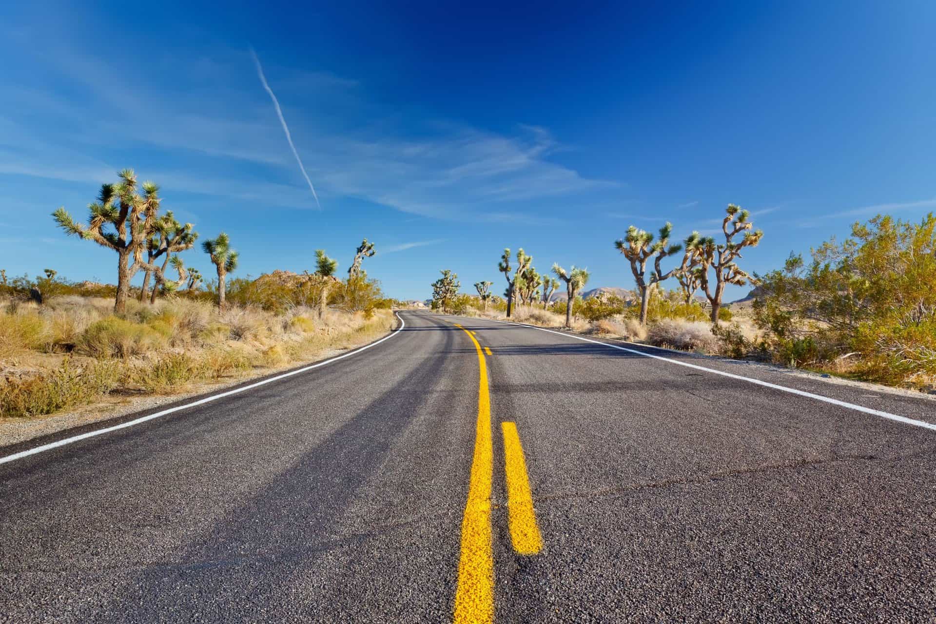 Mojave desert california