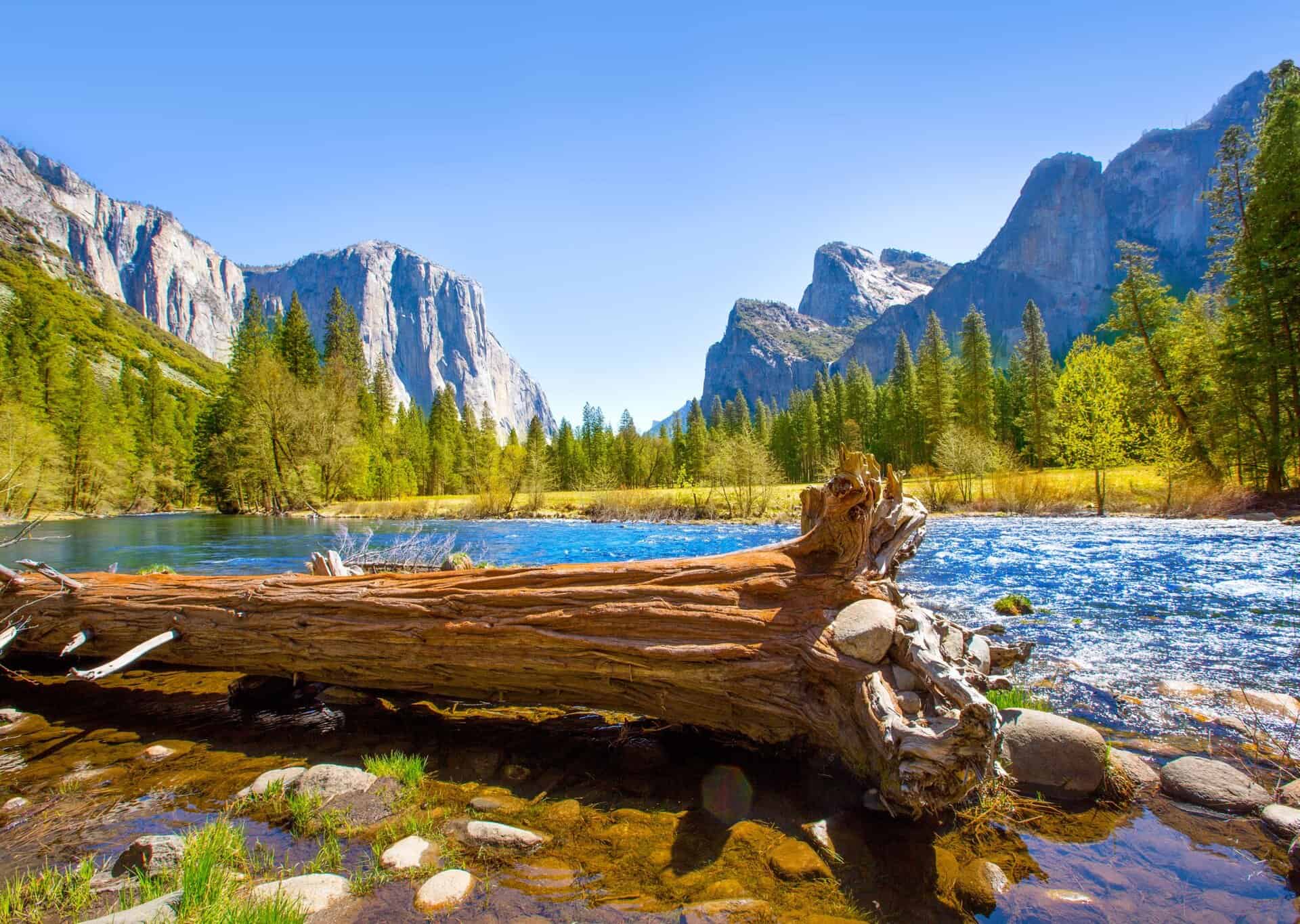 Yosemite park california